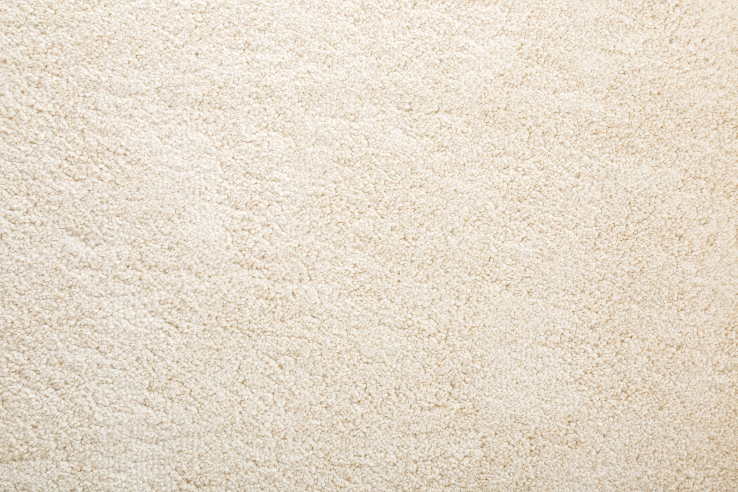 Soft neutral carpet in a finished room